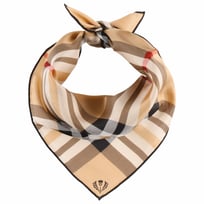 Classic Check Sidenscarf by Fraas - 499,00 kr