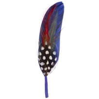 Hattfj�der by Stetson - 19,00 kr