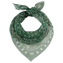 Paisley Sidenscarf by Fraas - 549,00 kr