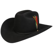 Rancher 160th Edition 6X Westernhatt by Stetson - 6719,00 kr